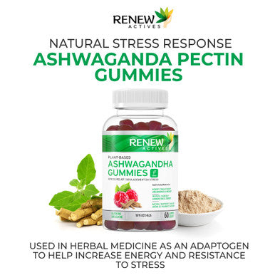 Renew Actives Ashwagandha Gummies For Memory Enhancement & Energy Boost - Used As Rejuvenative Tonic For Health & Wellness- 60 Gummies
