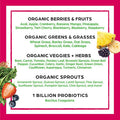 Orgain Organic Green Superfoods Powder, Berry - Antioxidants, 1 Billion Probiotics, Vegan, Dairy Free, Gluten Free, Kosher, Non-GMO, 0.62 Pound (Packaging May Vary)