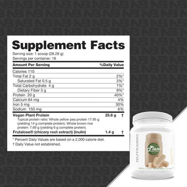 Nutrabio Plant Protein Complete Amino Acid Profile 20G of Protein per Scoop Gluten and Dairy Zero Fillers Naturally Sweetened Non-GMO USA Made Protein Powder (Vanilla Wafer)