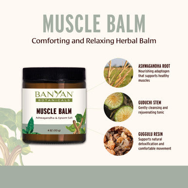 Banyan Botanicals Muscle Balm Organic Muscle Massage Balm With Ashwagandha Root & Epsom Salt Supports Healthy Circulation & Soothes Tired Muscles 4Oz Non Gmo Sustainably Sourced Petroleum Free