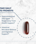 Metagenics CandiBactin-AR - Concentrated Aromatic Essential Oils - with Thyme Oil & Oregano Oil - Gut Health Supplements - for Intestinal Microbial Balance - Gluten- - 60 Softgels