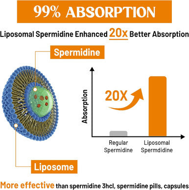 30Mg Spermidine Supplement, Liposomal Spermidine, High Absorption, More Potent Than Spermidine 3Hcl, Fermented Wheat Germ Extract, Spermidine For Women & Men, Cellular Renewal, Longevity, 120 Softgels
