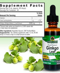 Nature'S Answer Alcohol Ginkgo Biloba Leaf Extract 2 Ounce 2 Count | Supports a Healthy Brain Promotes Cognitive Function Increase Mental Clarity Natural Focus Aid