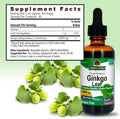 Nature'S Answer Alcohol Ginkgo Biloba Leaf Extract 2 Ounce 2 Count | Supports a Healthy Brain Promotes Cognitive Function Increase Mental Clarity Natural Focus Aid