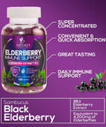 Nature'S Nutrition Sambucus Elderberry Gummies for Adults Teens & Kids - Super Concentrated 35:1 Extract Equivalent to 4200mg of Elderberries - Daily Immune Support Black Elderberry Vitamin Supplement - 120 Count
