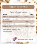 Healthspan Ashwagandha | 60 Capsules | Support Normal Psychological Function & Energy Levels | 500mg KSM-66 Ashwagandha | Added Vitamins B6 & B12 | Ayurvedic | Vegan