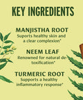 Banyan Botanicals Blood Cleanse Tablets Organic Supplement With Manjistha & Turmeric Blood Cleansing Herbs For Detox, Healthy Circulation & Skin 90 Tablets