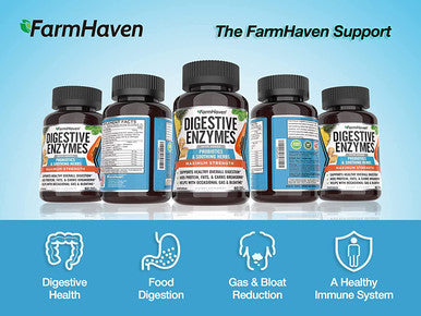 FarmHaven Digestive Enzymes Capsules Digestion Supplements with Probiotics for Bloating Bloat Gas Relief Digest Aid Enzyme Supplement to Boost Gut Health Supplements for Digestive Health