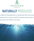 Holistic Bin Marine Phytoplankton Powder ly Grown in Nordic Seawater | Vegan Omega 3 Supplement | Rich in Amino s, Chlorophyll, Vitamins, & Trace Minerals (50g)
