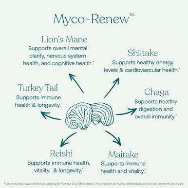 True Grace Mushroom Myco-Re Blend Daily Immune Support - 60 Count Capsules - Organic