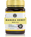 Honey Australia Manuka Honey MGO 263+ | 17.6 oz | Raw, Organic, Pure Honey for Daily Wellness & Energy | Natural Sweetener & Health Boost | Rich in Nutrients, Delicious, Creamy Flavor