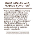 Nature'S Way Calcium Magnesium & Zinc 765 Mg Per Serving 100 Capsules