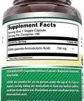 Amazing Nutrition Formulas GABA 750mg Per Serving 100 Veggie Capsules Supplement | Non-GMO | Gluten | Made in USA | Ideal for Vegetarians