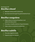Ultra Probiotic - 60B Sbo Probiotic - 6 Strains - Soil Based - Advanced Probiotic Users - Probiotics For Women & Men - Digestive