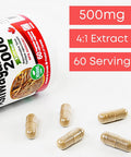 Ashwagandha Root Extract 500 mg (2000 mg Raw Equivalent), 4:1 Concentrate Ratio, 60 Vegan Capsules, Stress Relief & Mood Support Supplements, Non-GMO, Made in Canada