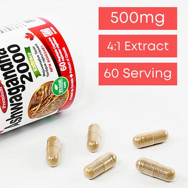 Ashwagandha Root Extract 500 mg (2000 mg Raw Equivalent), 4:1 Concentrate Ratio, 60 Vegan Capsules, Stress Relief & Mood Support Supplements, Non-GMO, Made in Canada