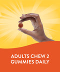 Nature'S Way Alive! B-Complex Gummies, Cellular Energy Support*, Mango Flavored, 60 Gummies