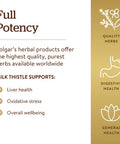Solgar - Full Potency Milk Thistle 250 Vegetable Capsules