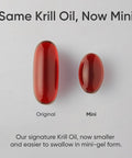 Sports Research Krill Oil Supplement with EPA DHA Omega 3 Phospholipids Astaxanthin from Antarctic Krill Highest Concentration of Krill Oil for Men Women 1000mg 120 Softgel Capsules