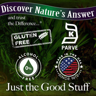 Nature'S Answer White Ginseng Root Alcohol 1 Fluid Ounce | Immune Support | Promotes Cognitive Function | Mental Clarity and Focus