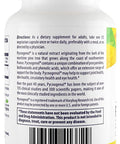 Healthy Origins Pycnogenol (Nature's Super Antioxidant) 100 mg, 120 Count