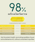 Vitabright Berberine HCL 100% Natural & 98% Pure High Strength 1500mg x3 a Day/Berberine 1000mg High Strength x2 a Day/Berberine 500mg x1 a Day 90 Capsules VitaBright Clean Berberine Supplement UK