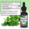 Nature'S Answer Peppermint Leaf with Organic Alcohol 1-Fluid Ounce | Digestive Support | Minimize Stomach Discomfort | Dietary Bowel Support