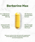 Deal Supplement Berberine Max Supplement with Turmeric 5000mg Per Serving 240 Veggie Capsules 97% Pure Berberine HCL 25:1 Berberine Root Extract Vegetarian Friendly Non-GMO