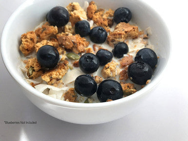 Julian Bakery ProGranola Cereal | Vanilla Cinnamon | 12g Protein | Paleo | 2 Net Carbs | Gluten-Free | Grain-Free | 15 Servings