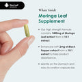 New Leaf Moringa Leaf Capsules High Strength Rosabella Moringa Capsules 2000Mg - Pure Vegan Moringa Capsules Extract and Powder 120 Moringa Capsules Enriched With Black Pepper By Leaf Two Months Supply