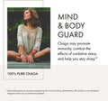 Anima Mundi Chaga Mushroom Powder - Organic Chaga Mushroom Powder - Immune System Support Supplement with Organic Chaga Extract Powder - Great for Tea, Coffee and More - Anima Mundi Supplements (5oz)