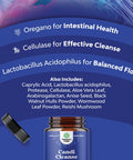 Daily Cleanse Gut Health Supplement - Gut Cleanse Probiotic Supplements for Digestive Health - Herbal Cleanse Pills with Super Digestive Enzymes with Probiotics and Prebiotics for a Digestive Cleanse