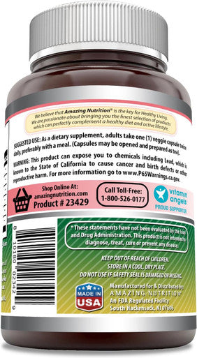 Amazing Nutrition Formulas Echinacea with Goldenseal Supplement | 450 Mg | 250 Veggie Capsules | Non-GMO | Gluten | Made in USA