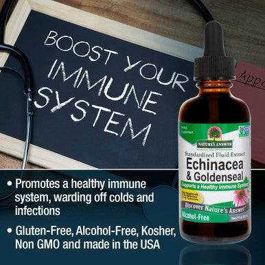 Nature'S Answer Enchinacea & Goldseal | Supports a Healthy Immune System | Super Concentrated Pure Extract | Alcohol- Gluten- Vegan & Kosher 2oz