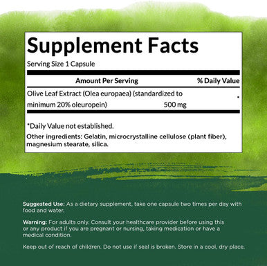Swanson Olive Leaf Extract Capsules with 20% Oleuropein - Provides Immune Support Promotes Cardiovascular System Health and Supports Healthy Blood Pressure - (120 Capsules 500mg Each)