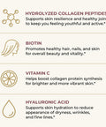 Left Coast Performance Multi Collagen Peptides Powder Types I II III V X Multi Collagen Protein Powder with Hyaluronic Acid Biotin Vitamin C For Skin Hair Nails Joints and Gut Health - Keto Non-GMO Supplement
