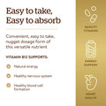 Solgar Vitamin B12 1000 Mcg 100 Nuggets