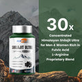 Shilajit for Men Women Shilajit with Naturally Fulvic Acid and L-Arginine Himalayan Shilajits for Extra Power Stamina and Immune Support Non-GMO Made in USA 60 Capsules, 1,300mg Per Serving