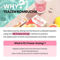 Teazen Kombucha Mango Guava Flavor Variety Pack with Special Eco Bottle (Kombucha Powder 40 Sticks Eco Bottle 1EA x 11.8oz)