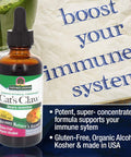 Nature'S Answer Cat's Claw Bark Liquid Extract Supplement 2 Ounce - with Organic Low Alcohol Cats Claw Tincture & Capsules Alternative for Joint & Muscle Support Vegan Non-GMO Gluten Kosher
