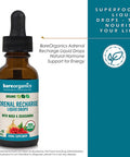 BareOrganics Adrenal Recharge Liquid Drops, Herbal Supplement, 1 Ounce
