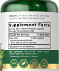 Carlyle Dong Quai Capsules | 1000mg | 250 Count | Non-GMO and Gluten Supplement | Traditional Herb