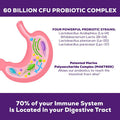 Probiotics 60 Billion CFU - Digestive & Immune Support for Women & Men - 5 Proven Strains Including L-Acidophilus, Plantarum, Paracasei & Prebiotics - Shelf Stable & Non-GMO Supplements - 60 Capsules