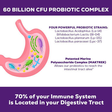 Probiotics 60 Billion CFU - Digestive & Immune Support for Women & Men - 5 Proven Strains Including L-Acidophilus, Plantarum, Paracasei & Prebiotics - Shelf Stable & Non-GMO Supplements - 60 Capsules