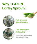 Teazen Organic Barley Sprout Juice Powder Korean Organic Superfood Greens Grass Great for Iced Tea and Smoothie 100g (3.5oz)