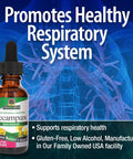 Nature'S Answer Elecampane Root 2 oz. Low Organic Alcohol 2000mg - Herbal Supplement - Non GMO & Kosher - Low Alcohol Gluten 100% Vegan - 2 FL Oz