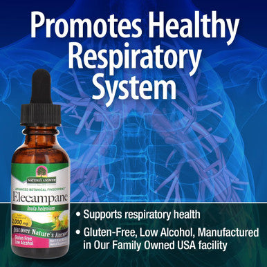 Nature'S Answer Elecampane Root 2 oz. Low Organic Alcohol 2000mg - Herbal Supplement - Non GMO & Kosher - Low Alcohol Gluten 100% Vegan - 2 FL Oz