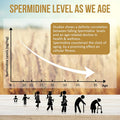 Spermidine Supplements 13Mg - 1300Mg Wheat Germ Extract Capsules Potent Formula With Higher Spermidine Content And Zinc For Healthy Aging, Daily Immune System And Cell Renewal, 120 Capsules