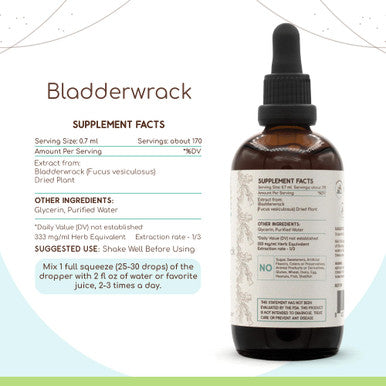 Bladderwrack B120 Alcohol-Free Herbal Extract Tincture, Concentrated Liquid Drops Natural Bladderwrack (Fucus Vesiculosus) 4 Fl