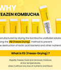 Teazen 3 Flavors 40 Sticks Variety Pack Grapefruit Drink Mix (20 Sticks) and Kombucha Lemon Citron Flavor (20 Sticks)